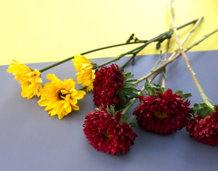 Red and yellow flowers create a lovely contrast