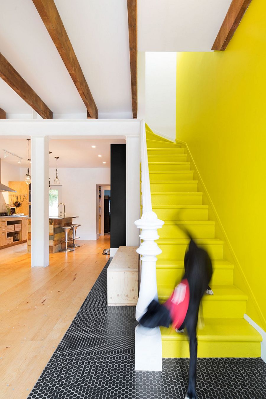 Staircase in yellow and penny tiled flooring delineate space inside the vivacious, remodeled row house