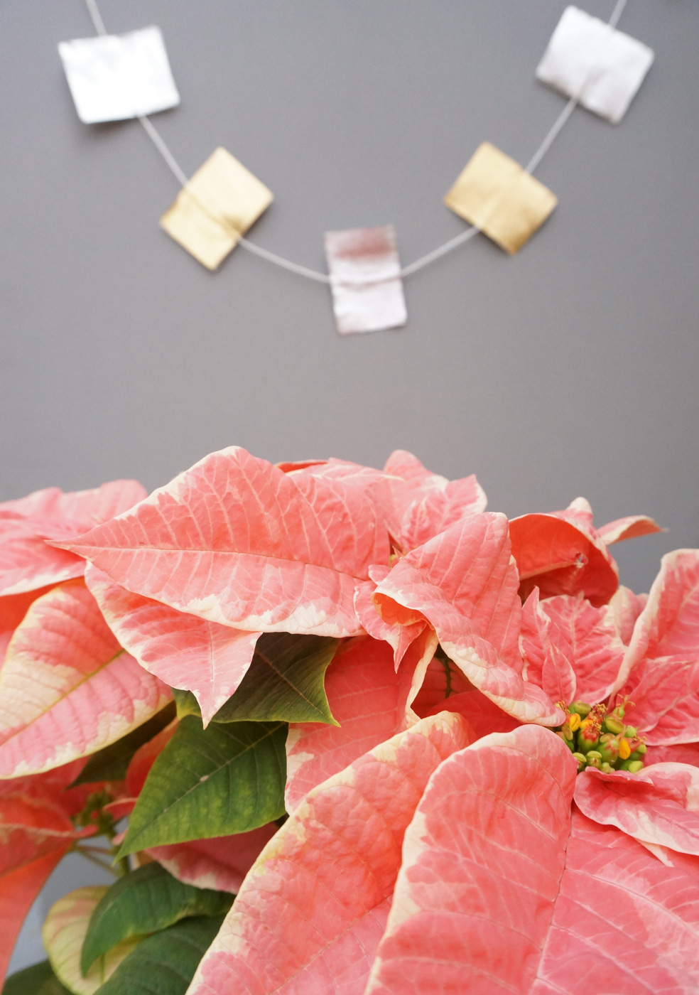 A metallic garland hangs in the distance