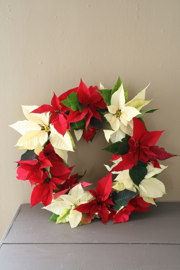 Beautiful wreath made out of red and white poinsettias