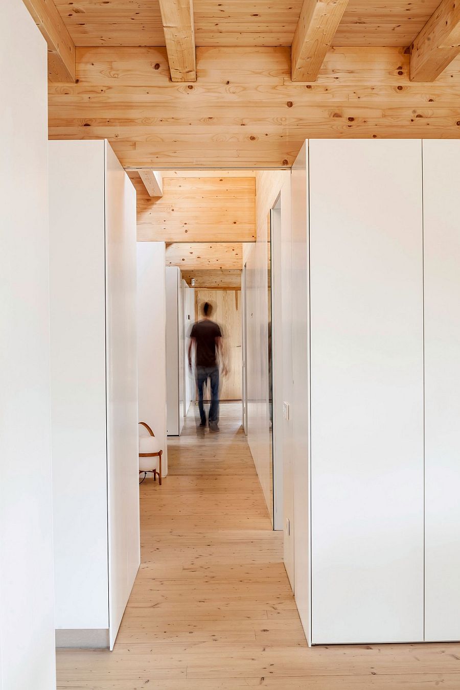 Contemporary interior with carefully organized shelves and cabinets delineate space