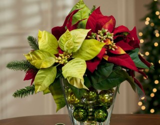 17 Lovely Ways to Display Poinsettias for the Holidays