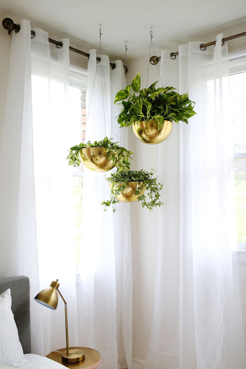 Hanging plants in a crisp guest room