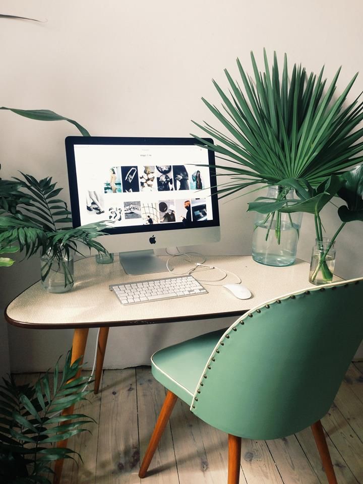 Large plants take up most of the room on this office desk