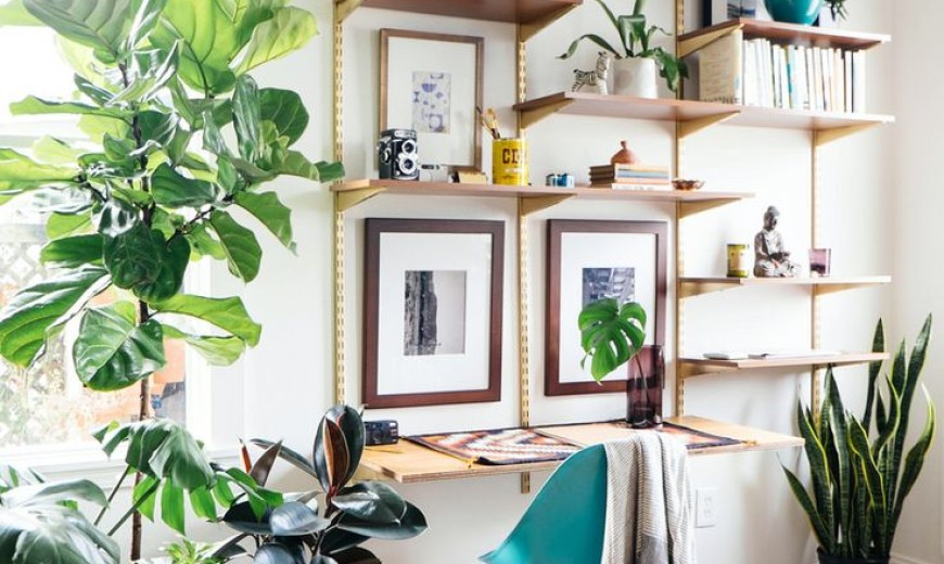15 Nature-Inspired Home Office Ideas for a Stress-Free Work Space