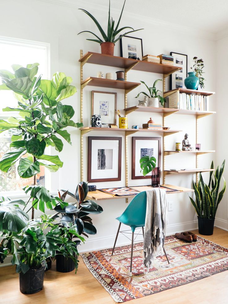 Office space with unique shelves that almost mimic trees