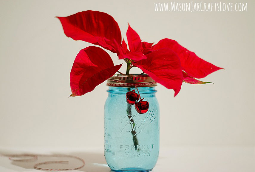 Poinsettia displayed in a mason jar