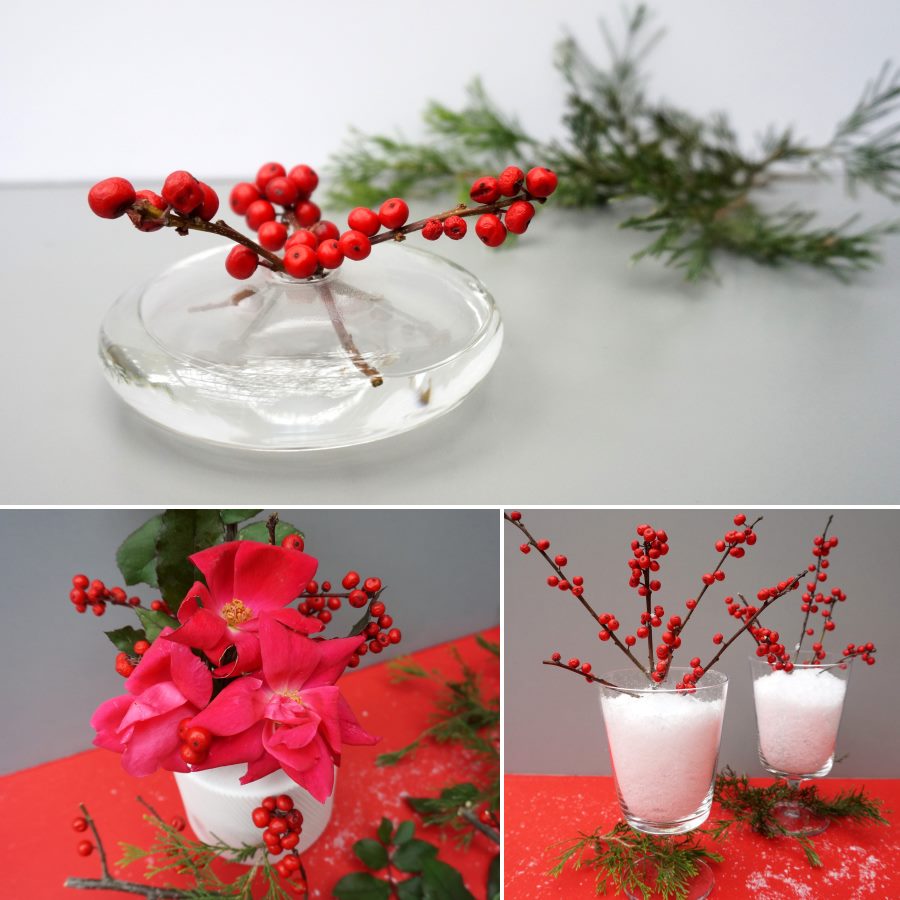 Red berries three ways for the holiday table