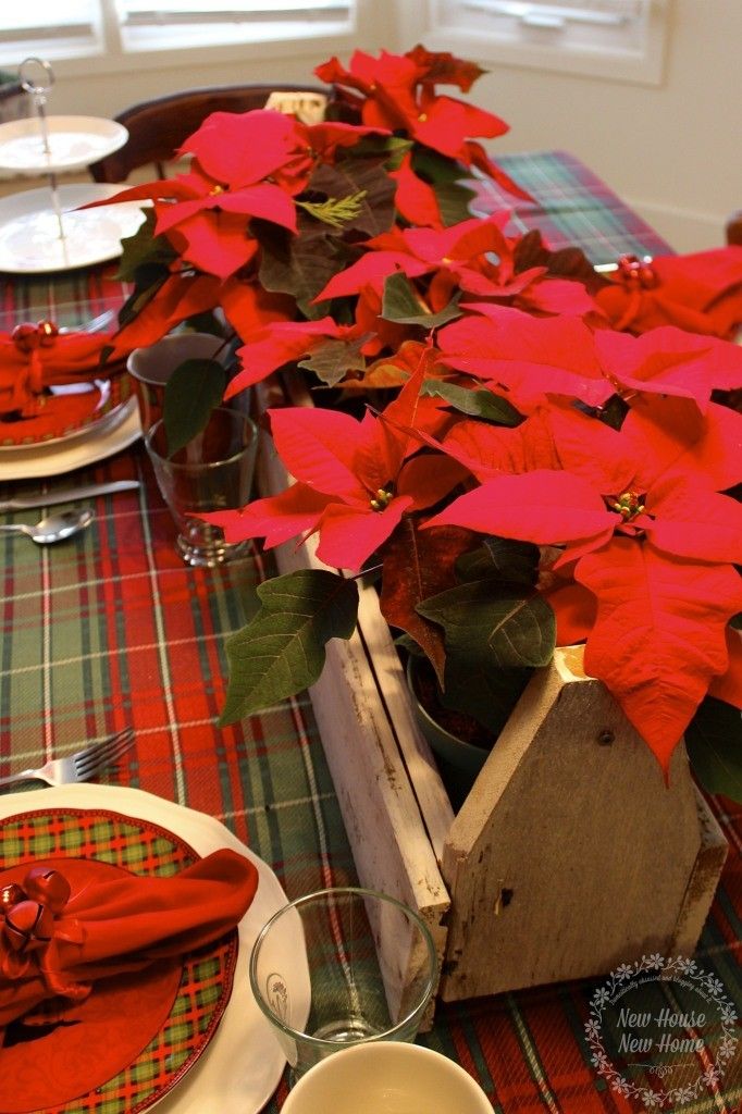 Rustic holiday tablescape with poinsettias in wood planter box