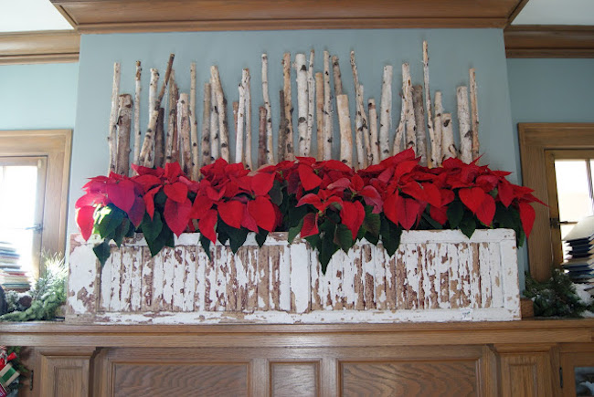 Rustic poinsettia displayed on fireplace mantel