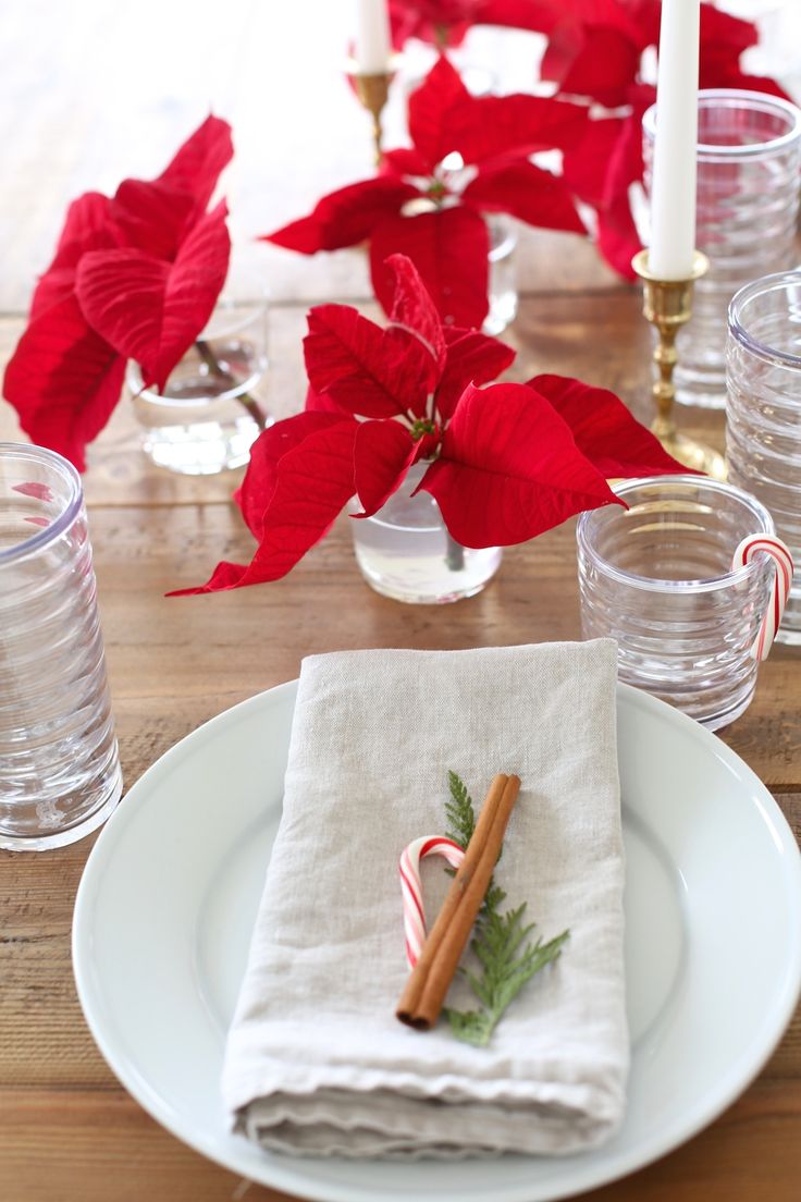 Single poinsettia flowers in small glasses of water