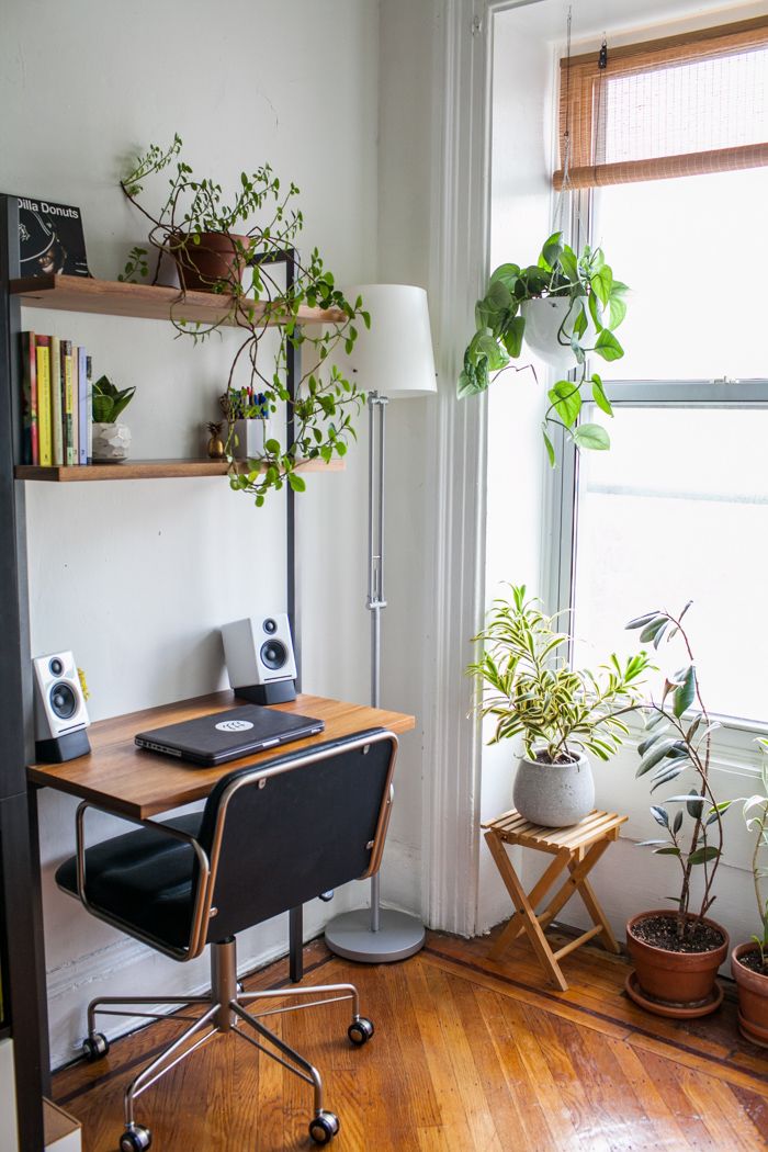 Small desk near a bright window with lots of surrounding plants