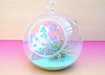 An-air-plant-takes-center-stage-in-this-arrangement1-217x155