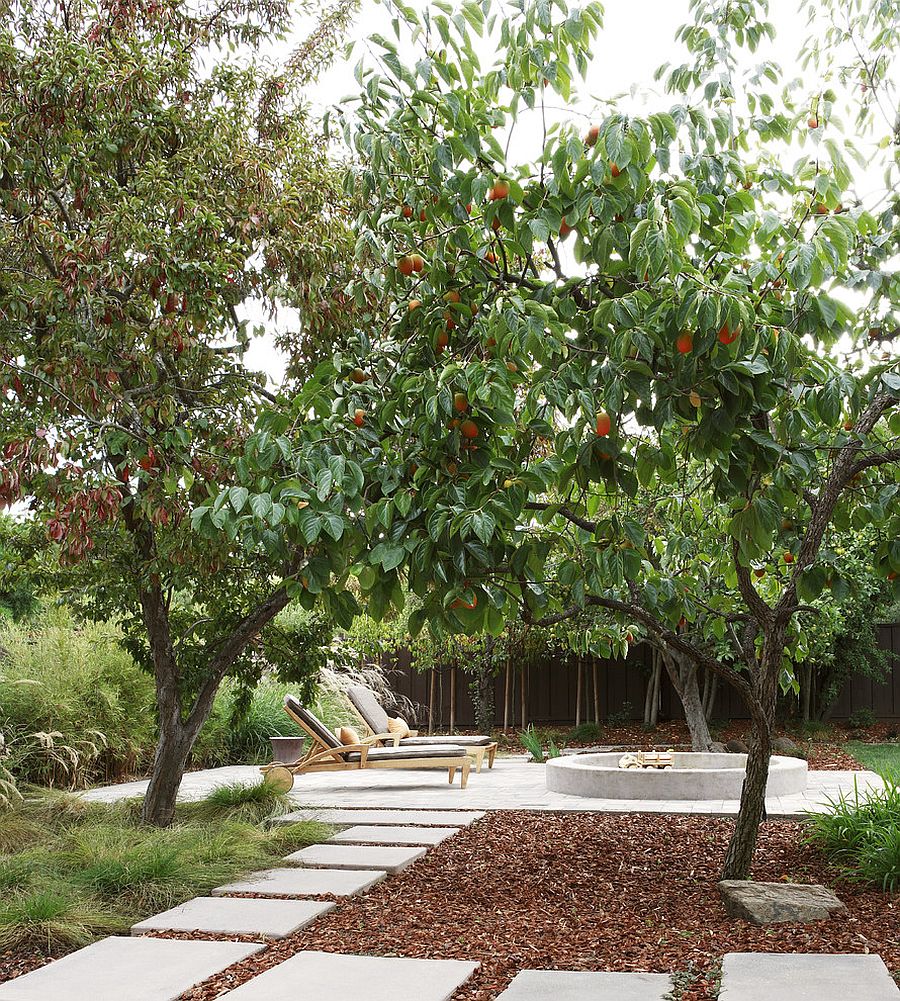 Christmas trees can be turned into mulch for your garden [Design: Arterra Landscape Architects]