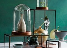 Display-cloches-from-West-Elm-217x155