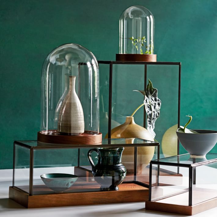 Display cloches from West Elm