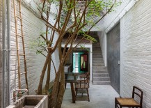 Natural-greenery-becomes-an-integral-part-of-the-interior-217x155