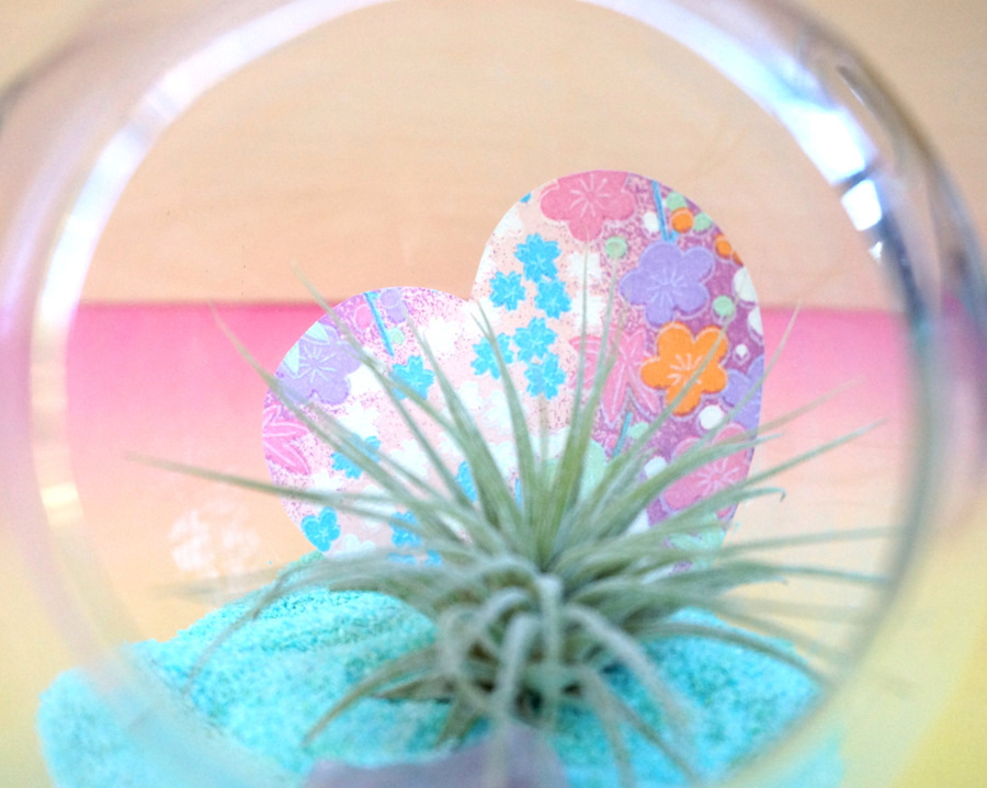 Origami paper heart air plant terrarium