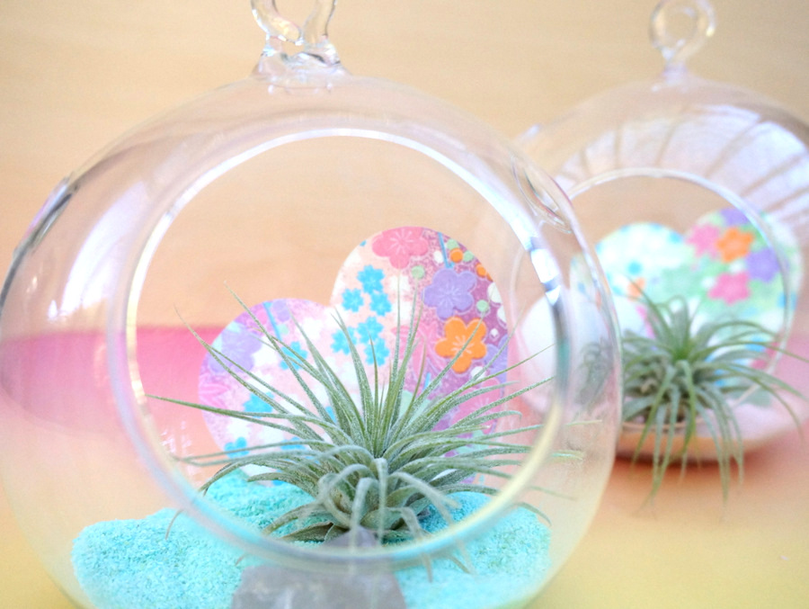 Paper heart air plant terrariums for Valentine's Day