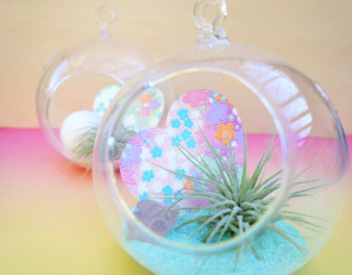 Valentine's Day DIY: A Pastel Air Plant Terrarium