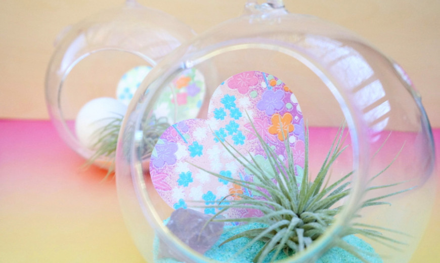 Valentine's Day DIY: A Pastel Air Plant Terrarium