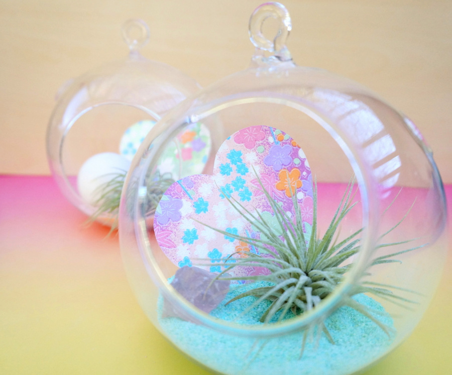 Pastel air plant terrarium