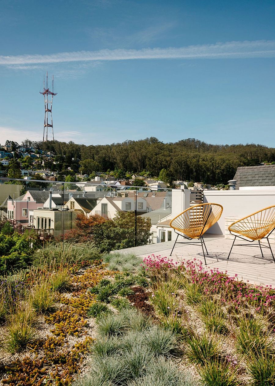 Roof deck and green roof on the top level of the house