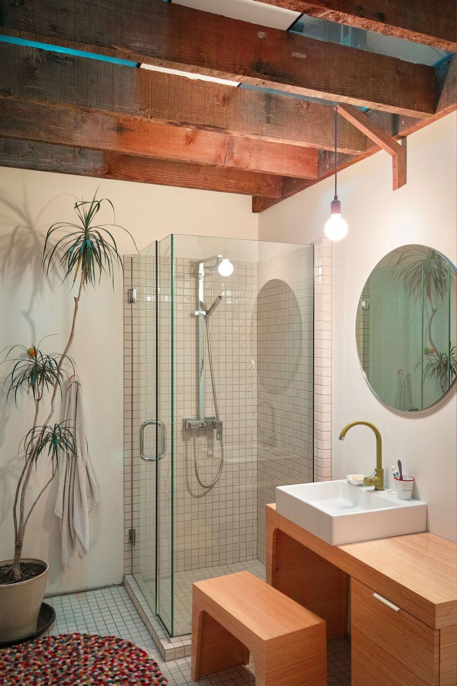 Small corner shower area with a potted plant next to it