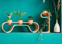 Wooden-air-plant-holders-from-West-Elm-217x155