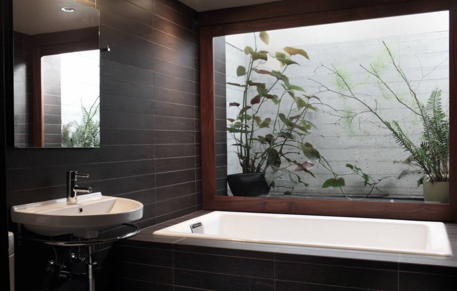 Bathroom with a view of plants