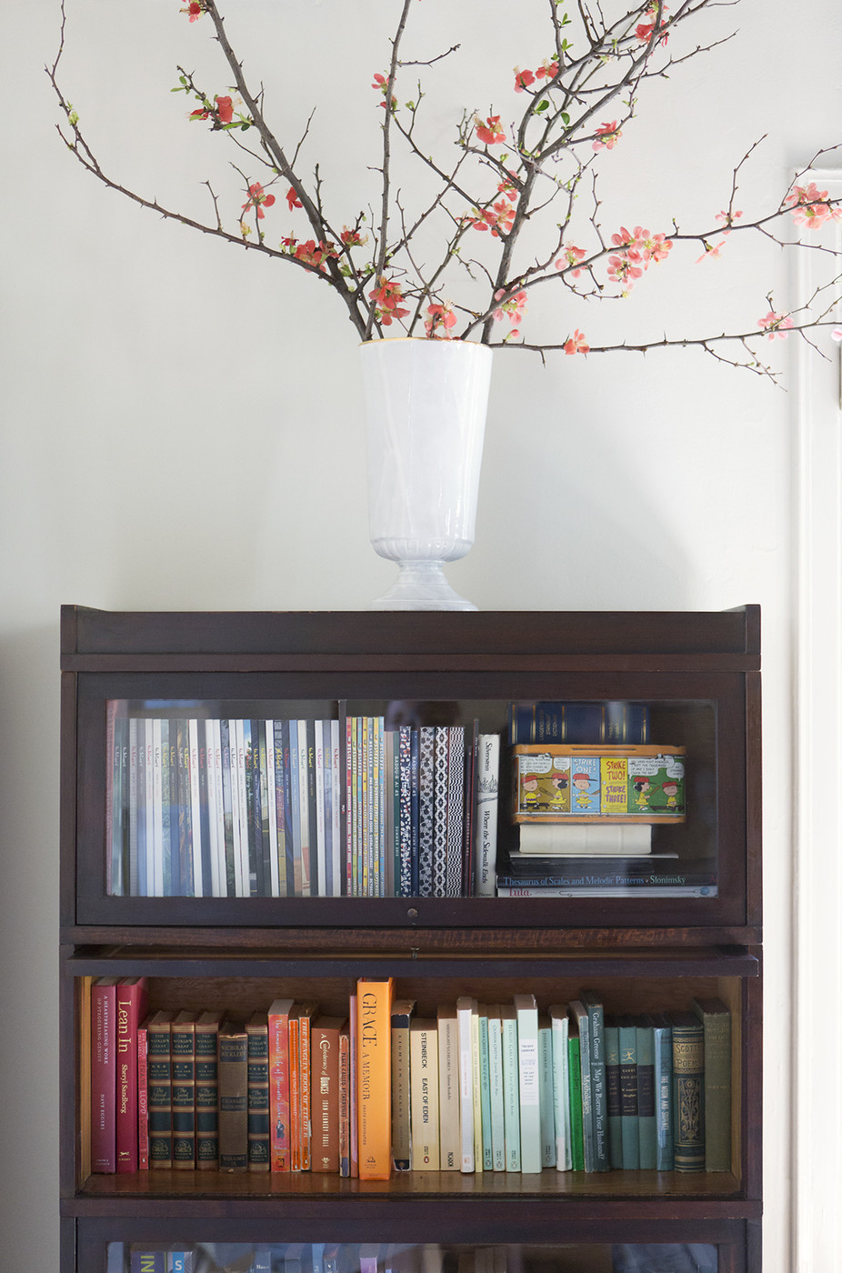 Bookshelf with color-coded books