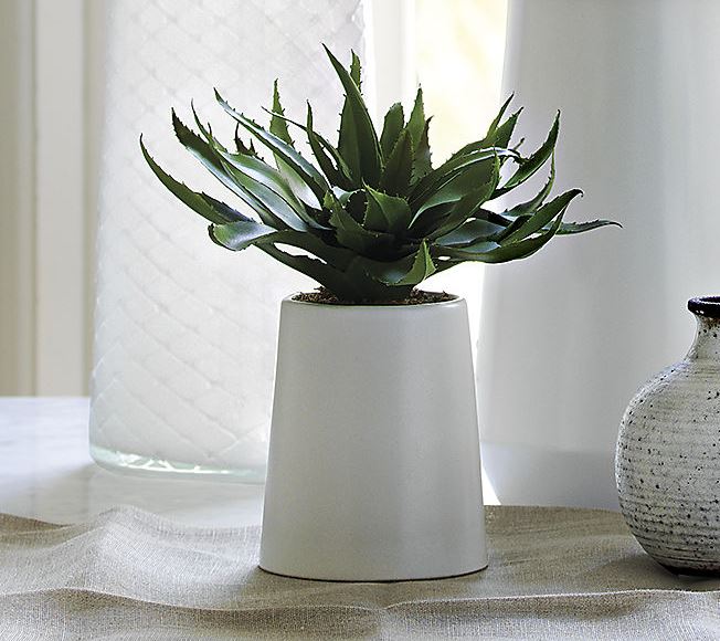Faux potted aloe plant from CB2
