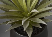 Faux-potted-succulent-from-CB2-217x155