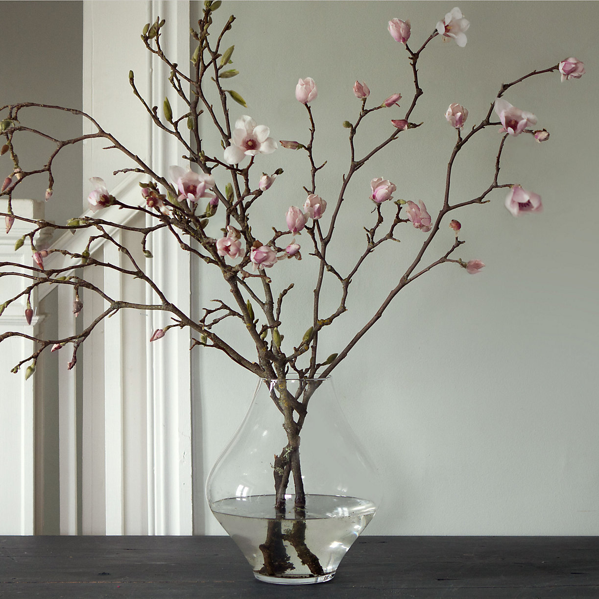 Magnolia branches from Terrain