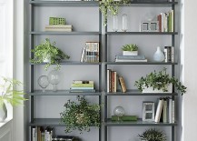 Potted-plants-on-wall-mounted-bookcases-217x155