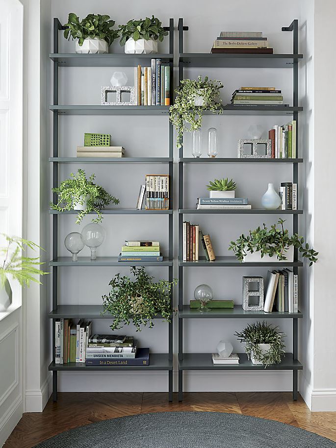 Potted plants on wall-mounted bookcases