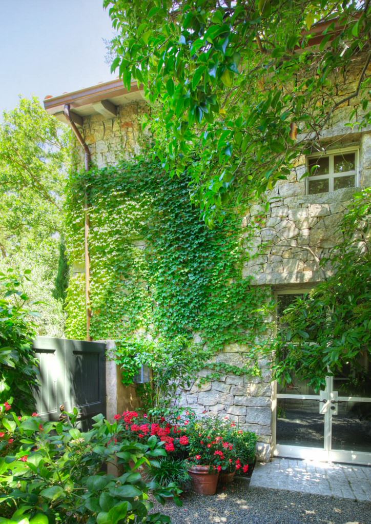 Vines and potted plants adorn the exterior of a garden home