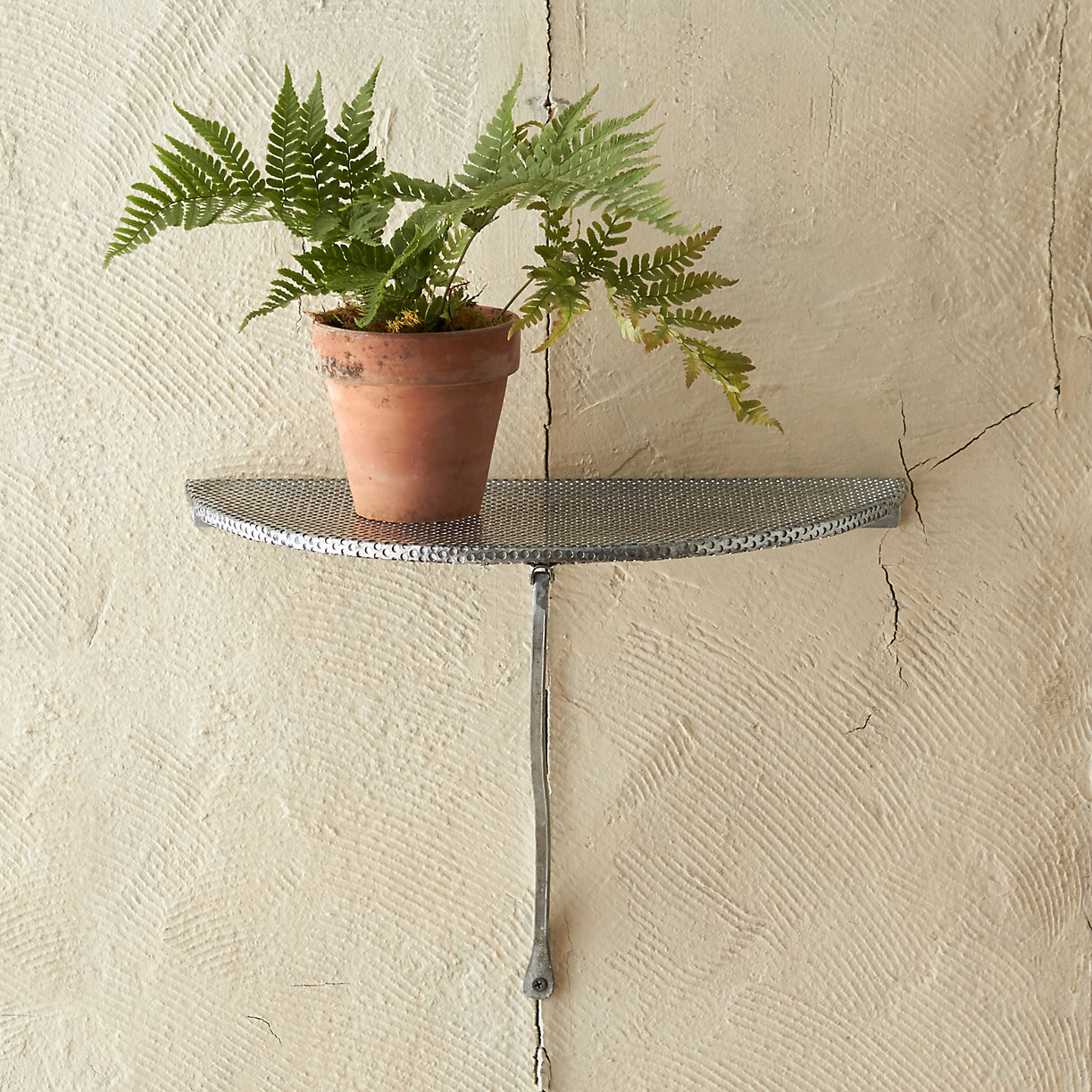 Wall-mounted plant shelf