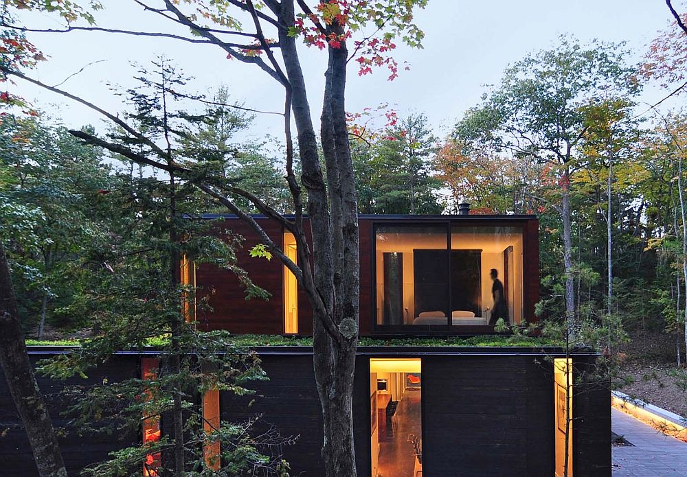 Green roof lets the home blend in with its forested backdrop