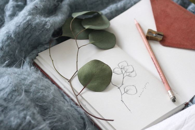 Journaling in bed can spark creativity