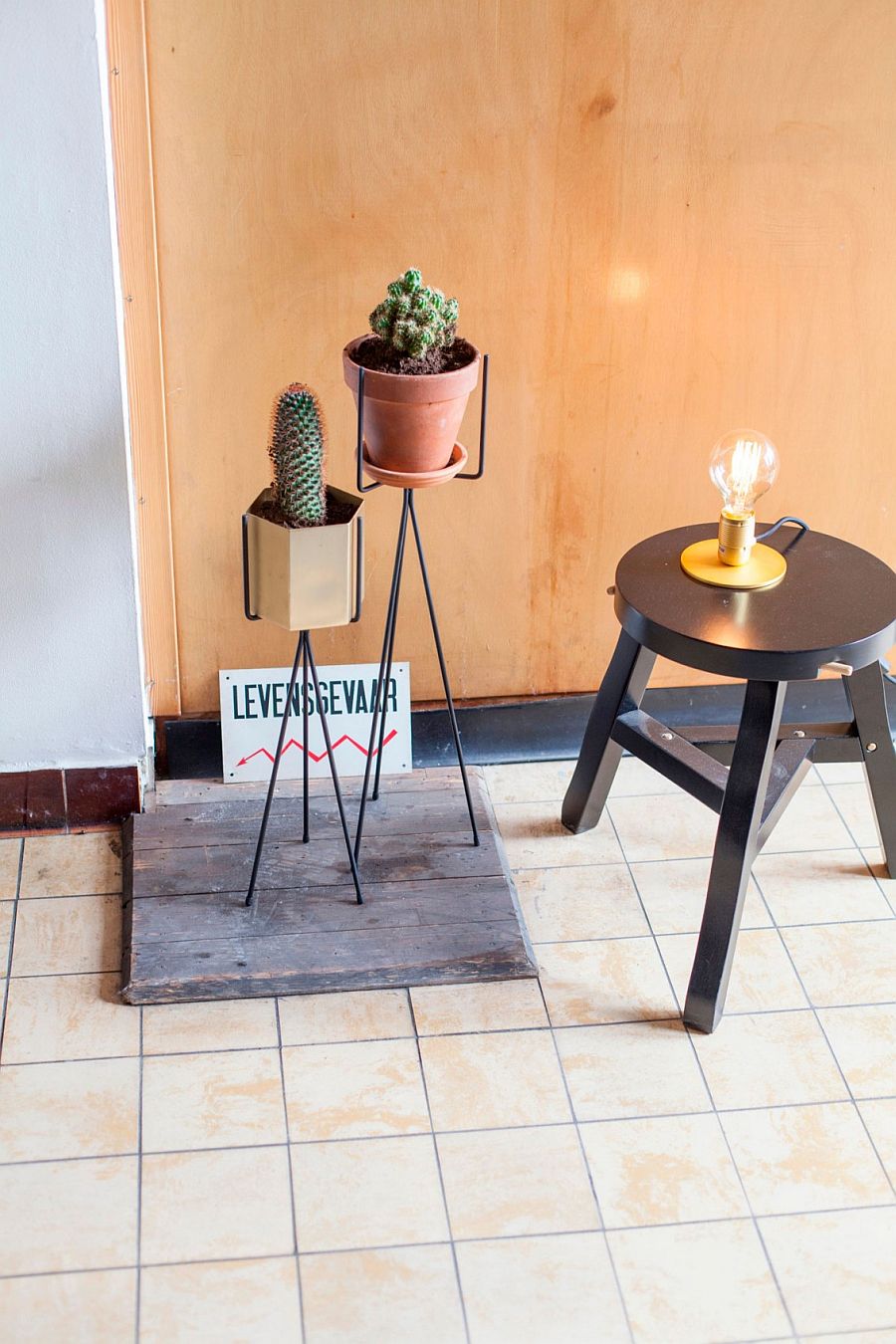 Minimal indoor plant pots and industrial lighting inside the Ghent penthouse