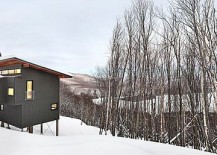 Modern-weekend-ski-chalet-in-Lac-Archambault-217x155