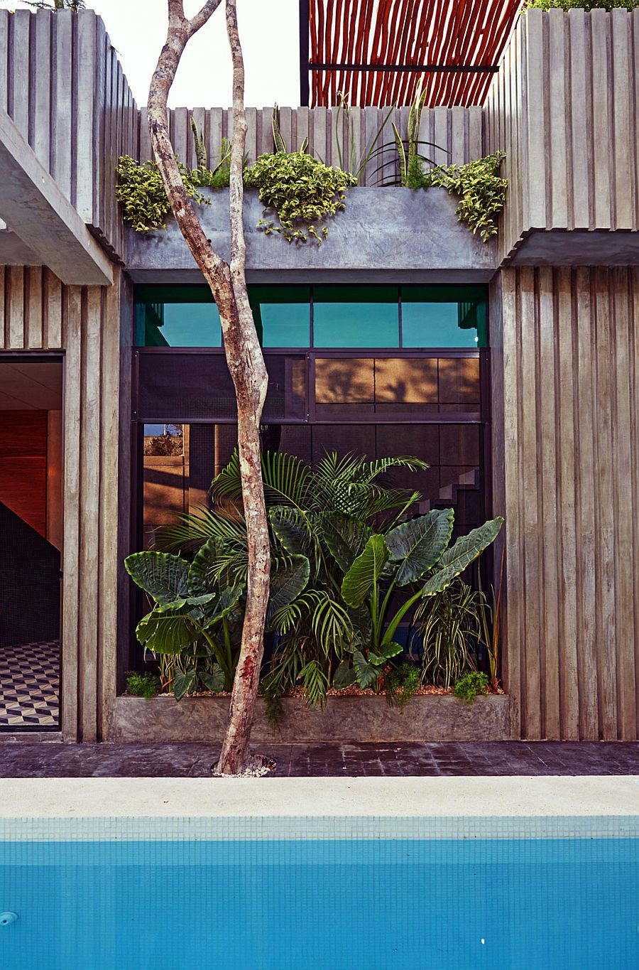 Natural greenery is intertwined with the steely concrete structure of the home