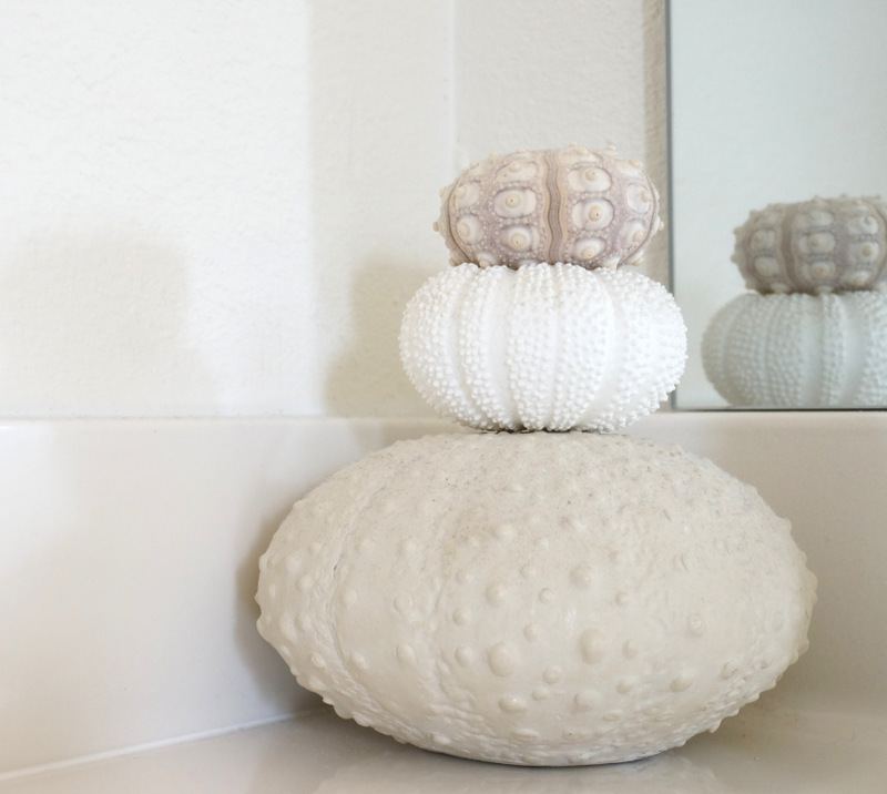 Sea urchin decor in a modern white bathroom