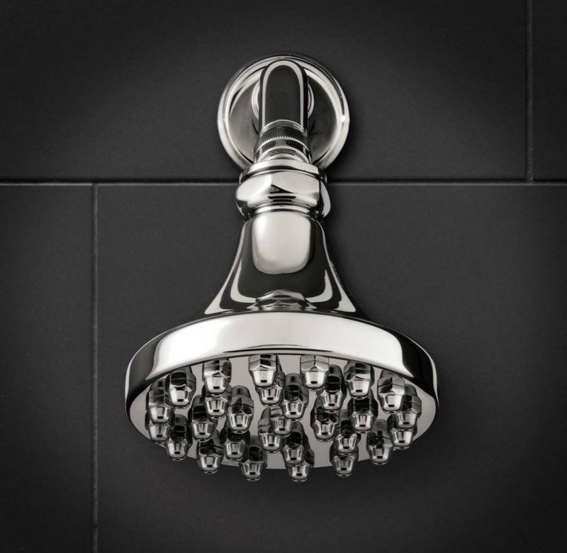 Shower head from RH Modern