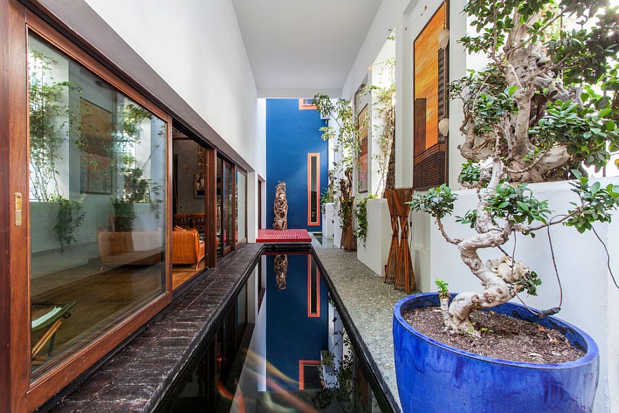 Slim, lap pool brings the charm of tropical landscape indoors [Design: Pablo Cousinou]