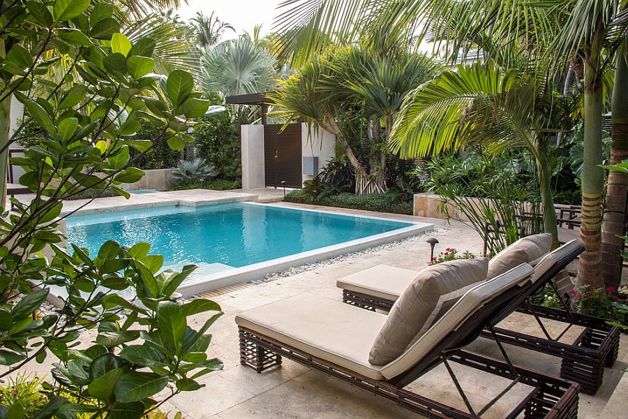 Minimalist Pool Tropical Landscaping Ideas for Small Space