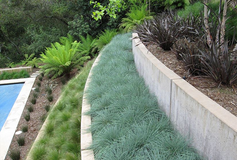 Terraced garden organized by plant type