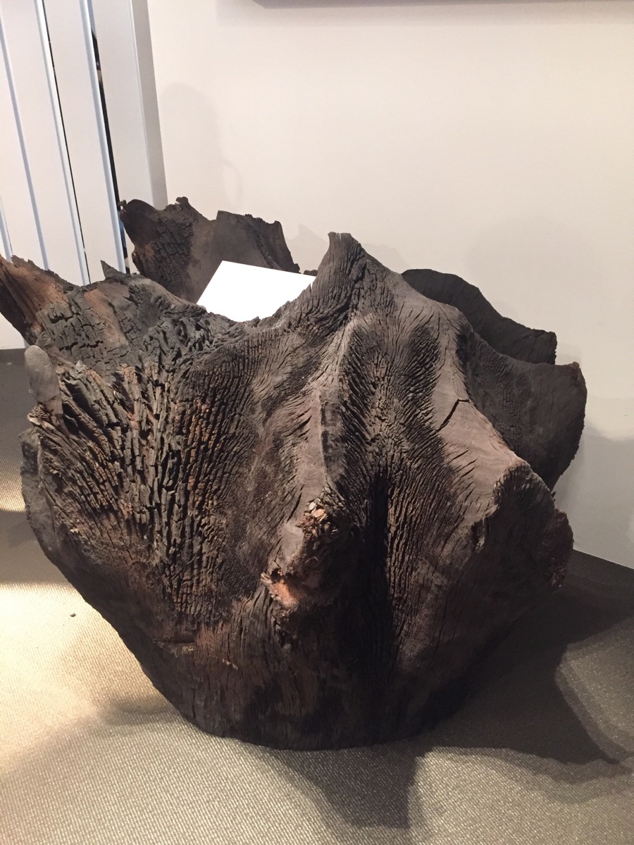 Fossil wood from Serbia used by Toncelli to create unique kitchen islands