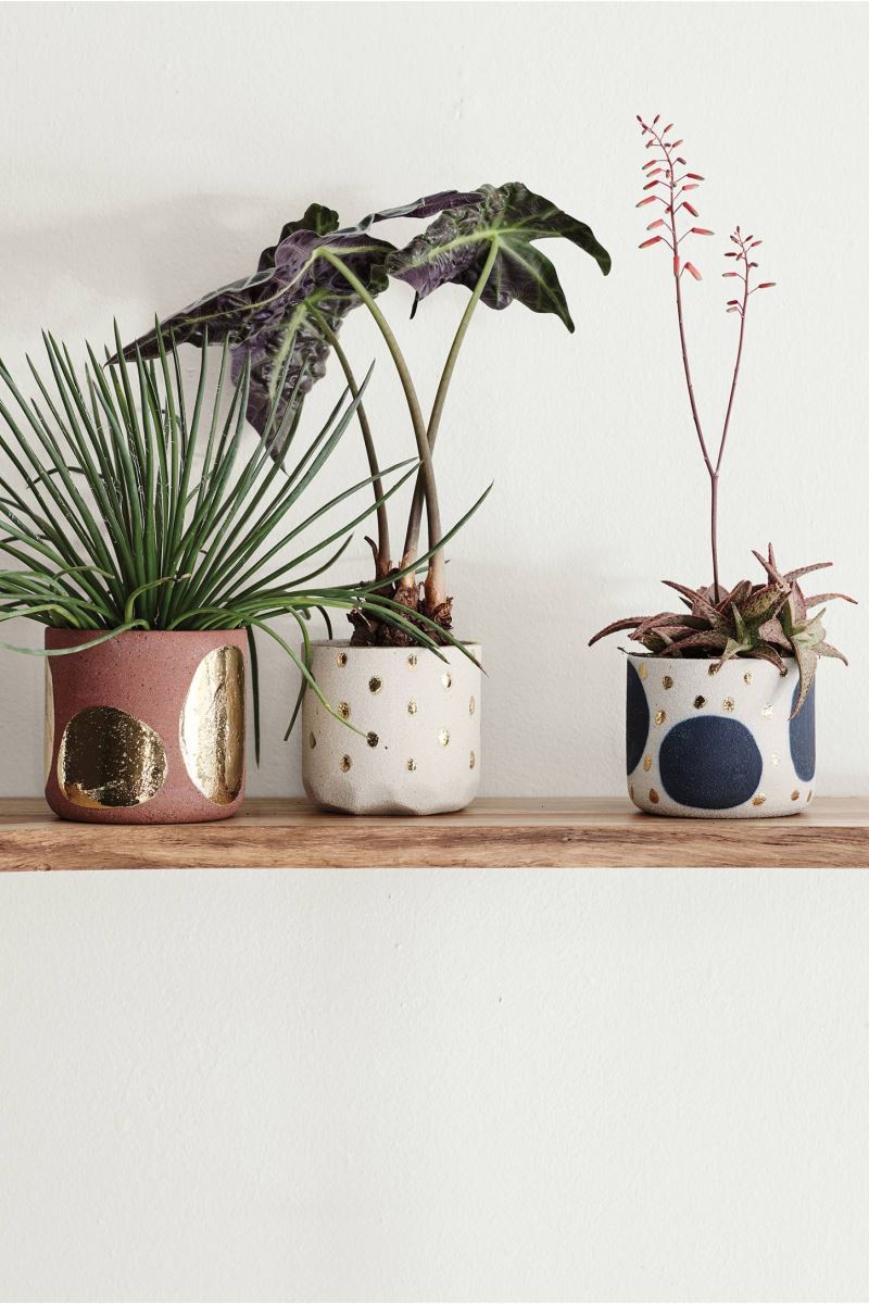 Gilded planters from Anthropologie
